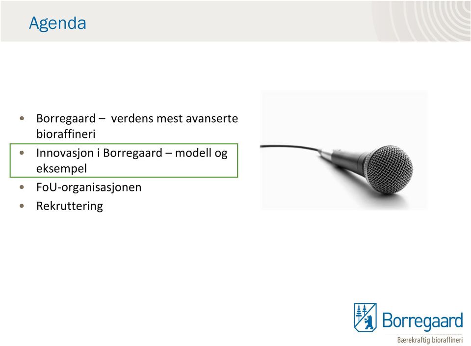 Innovasjon i Borregaard modell