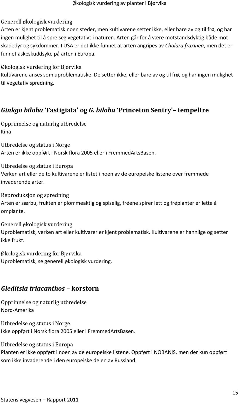 Kultivarene anses som uproblematiske. De setter ikke, eller bare av og til frø, og har ingen mulighet til vegetativ spredning. Ginkgo biloba Fastigiata og G.