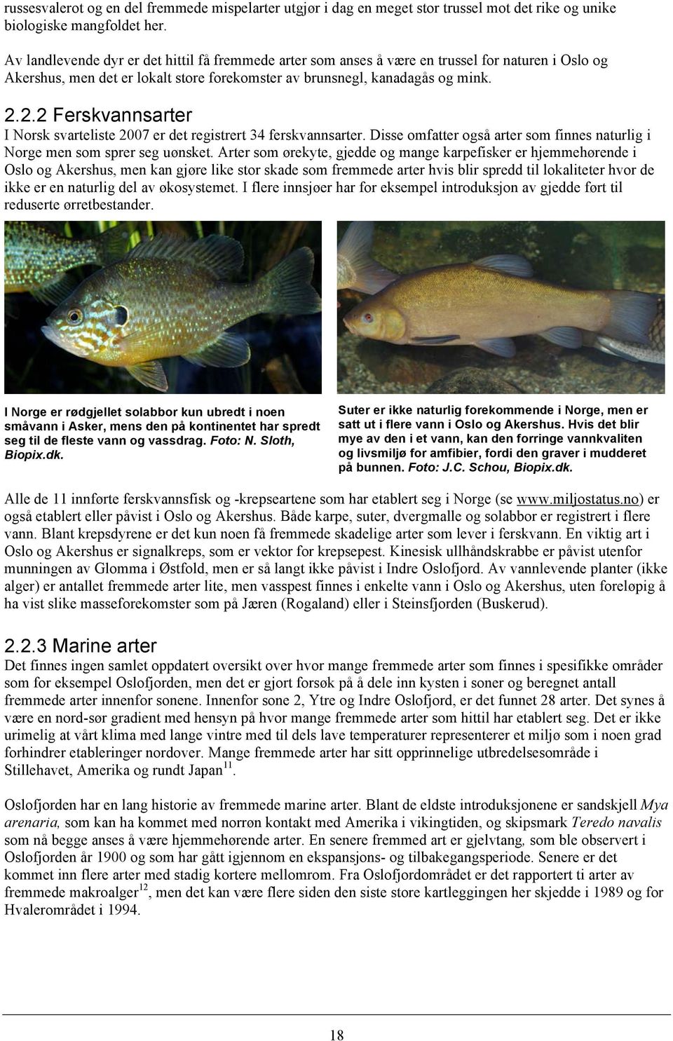 2.2 Ferskvannsarter I Norsk svarteliste 2007 er det registrert 34 ferskvannsarter. Disse omfatter også arter som finnes naturlig i Norge men som sprer seg uønsket.