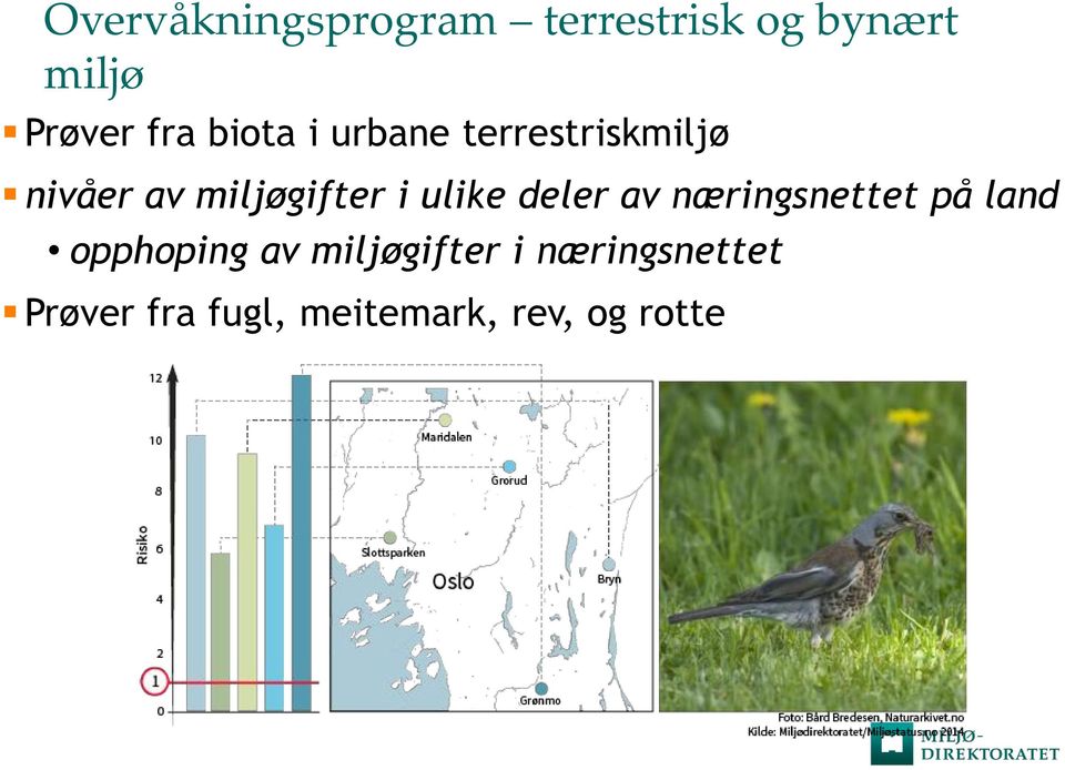 ulike deler av næringsnettet på land opphoping av