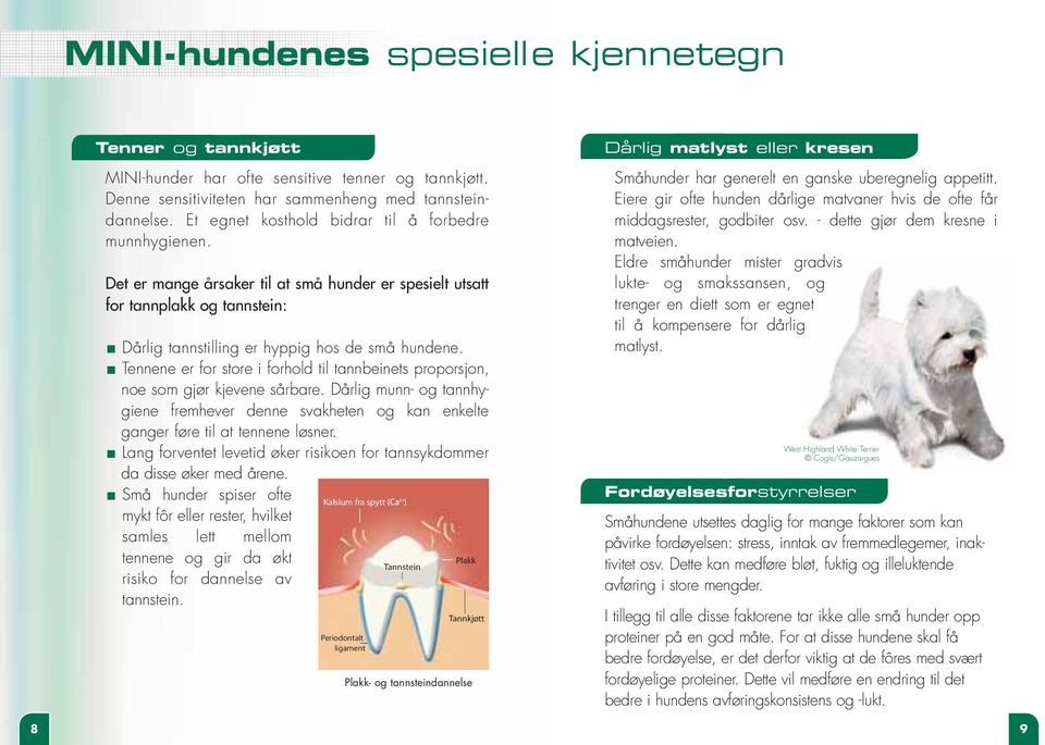 Tennene er for store i forhold til tannbeinets proporsjon, noe som gjør kjevene sårbare. Dårlig munn- og tannhygiene fremhever denne svakheten og kan enkelte ganger føre til at tennene løsner.