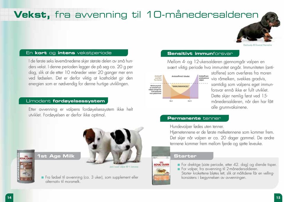 Det er derfor viktig at kostholdet gir den energien som er nødvendig for denne hurtige utviklingen. Umodent fordøyelsessystem Etter avvenning er valpens fordøyelsessystem ikke helt utviklet.