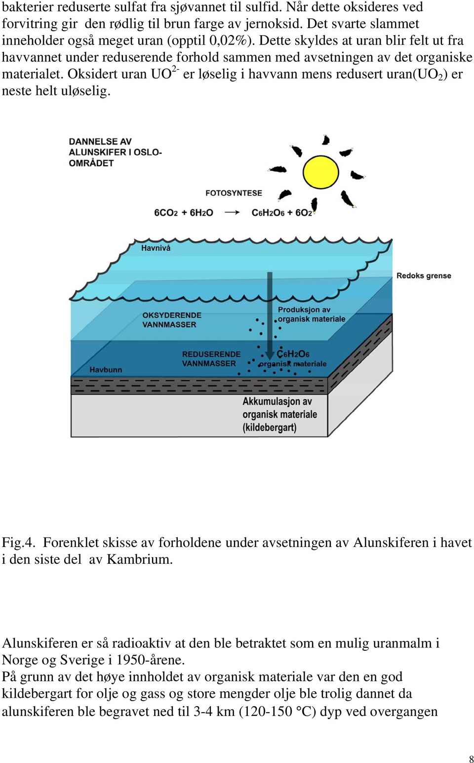 Oksidert uran UO 2- er løselig i havvann mens redusert uran(uo 2 ) er neste helt uløselig. Fig.4. Forenklet skisse av forholdene under avsetningen av Alunskiferen i havet i den siste del av Kambrium.