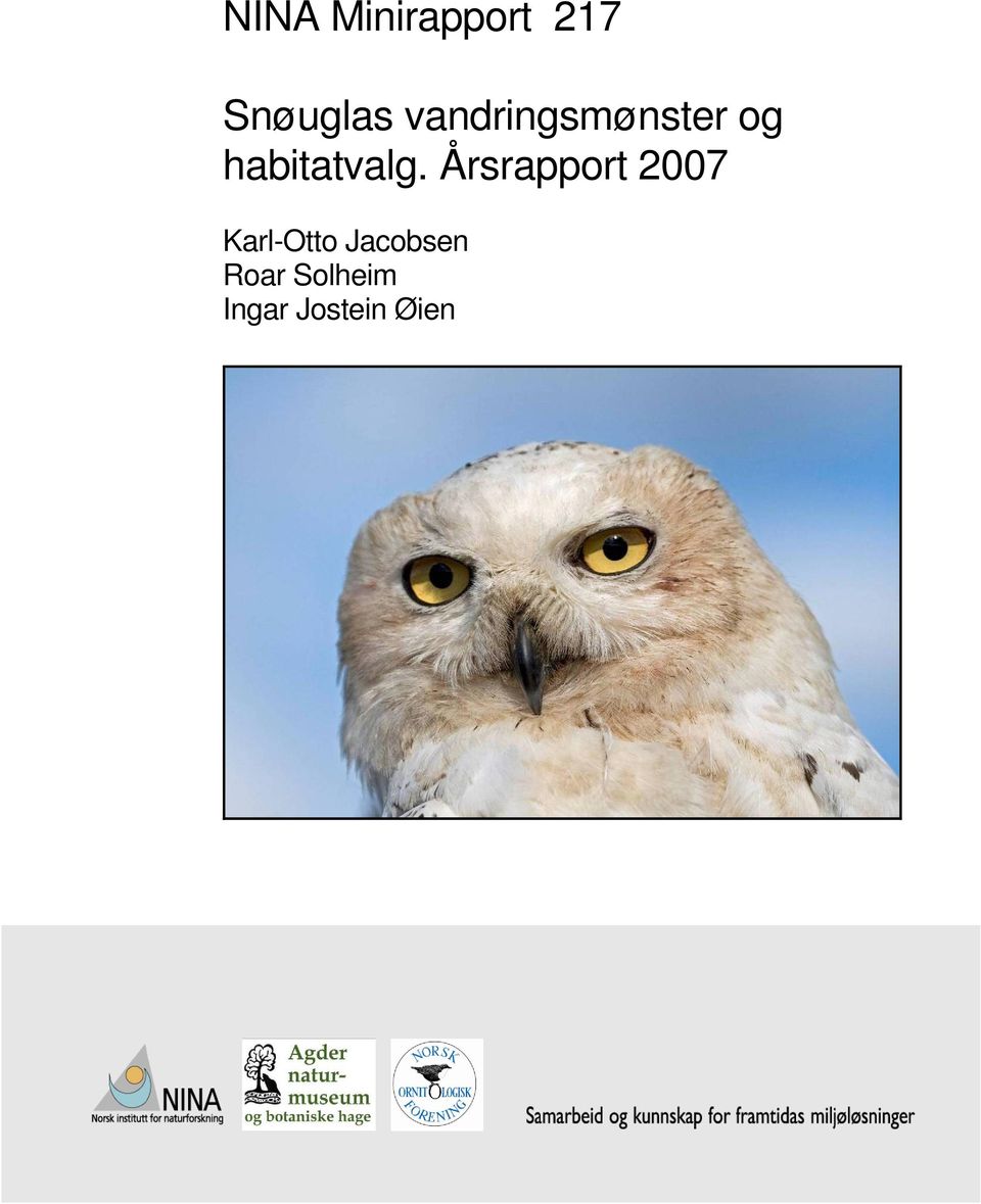 Årsrapport 2007 Karl-Otto