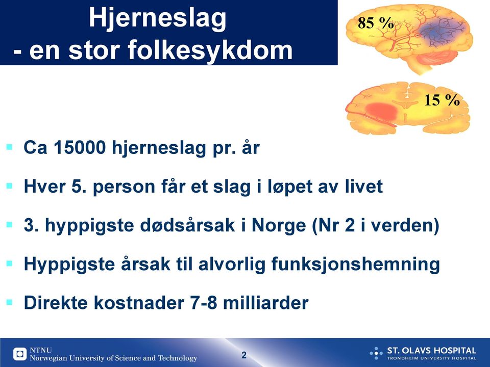 person får et slag i løpet av livet 3.