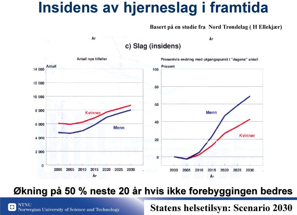 Studie I Nord Trøndelag Økning på 50 % neste 20 år hvis