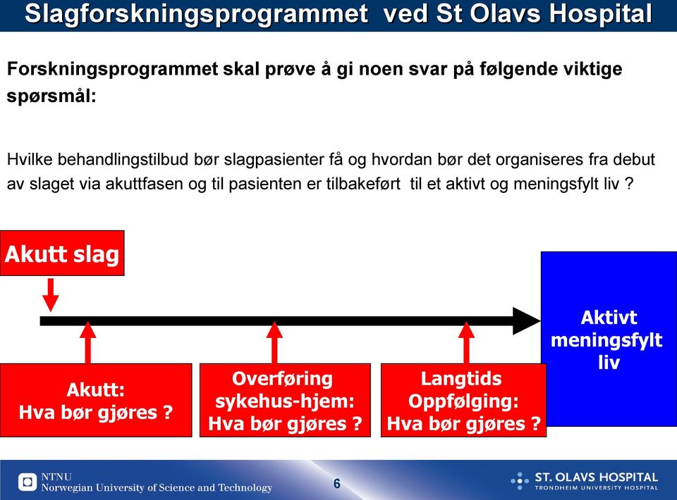 slaget via akuttfasen og til pasienten er tilbakeført til et aktivt og meningsfylt liv?