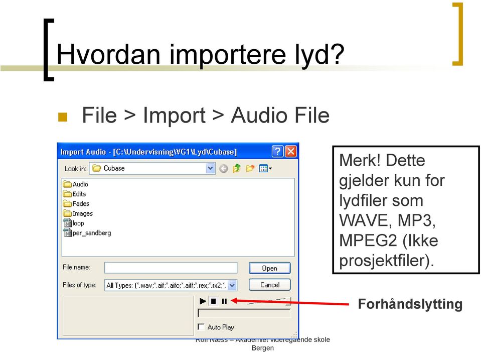 Dette gjelder kun for lydfiler som