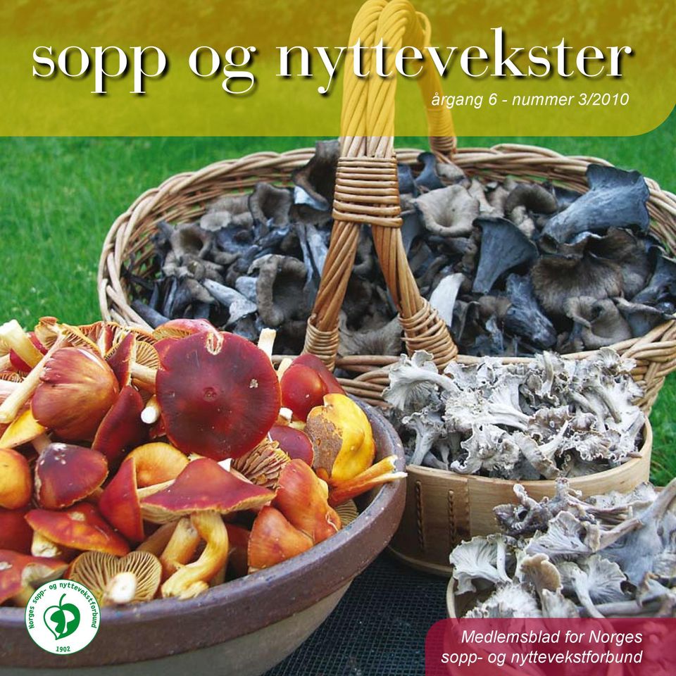 3/2010 Medlemsblad for