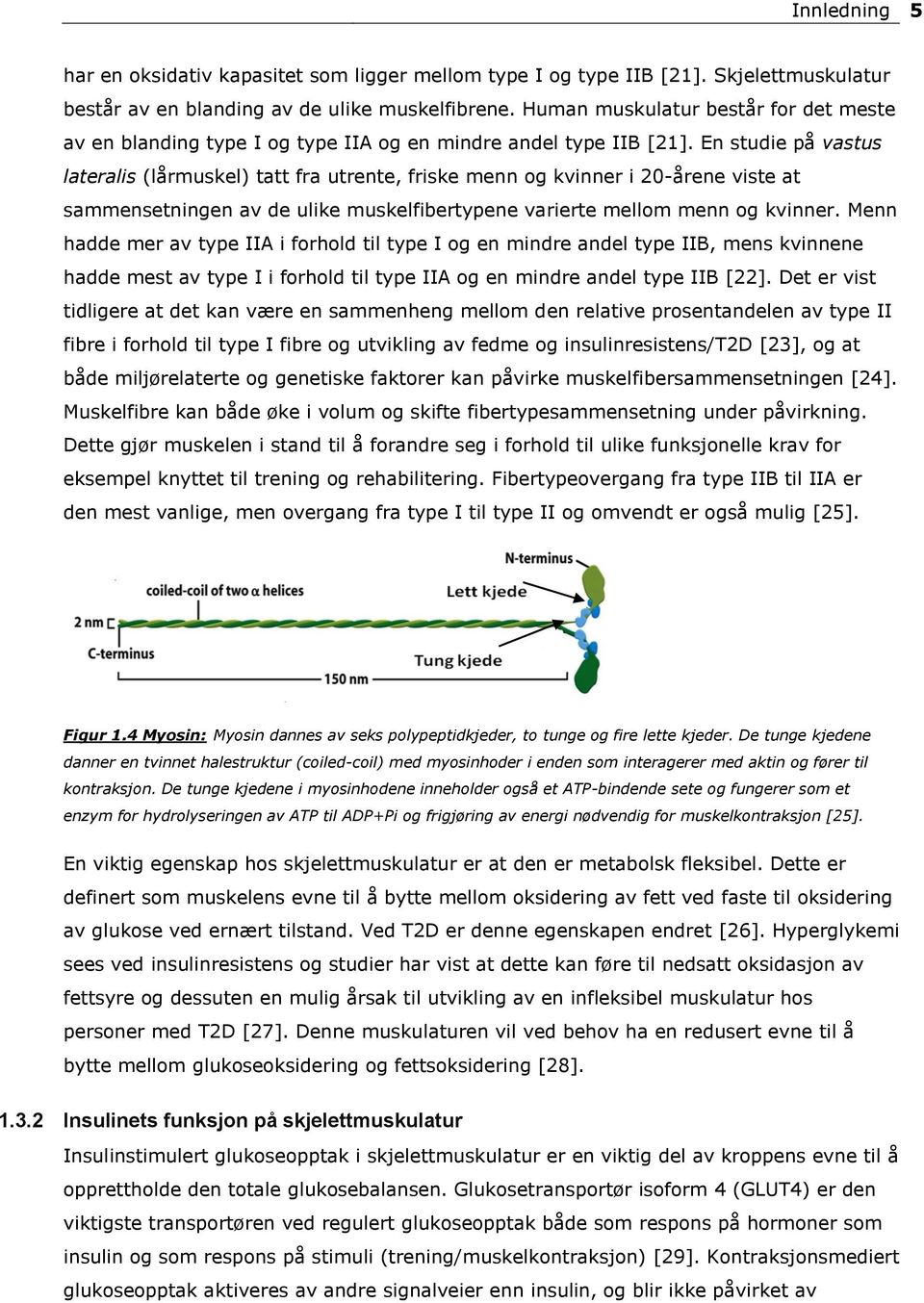 En studie på vastus lateralis (lårmuskel) tatt fra utrente, friske menn og kvinner i 20-årene viste at sammensetningen av de ulike muskelfibertypene varierte mellom menn og kvinner.