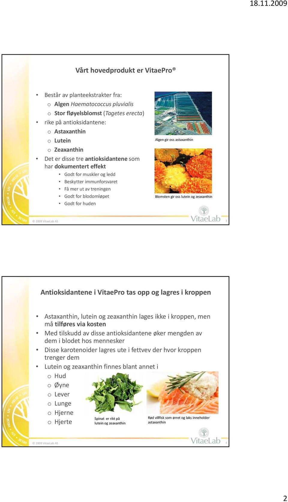 Blomsten gir oss lutein og zeaxanthin 2009 VitaeLab AB 3 Antioksidantene i VitaePro tas opp og lagres i kroppen Astaxanthin, lutein og zeaxanthin lages ikke i kroppen, men må tilføres via kosten Med