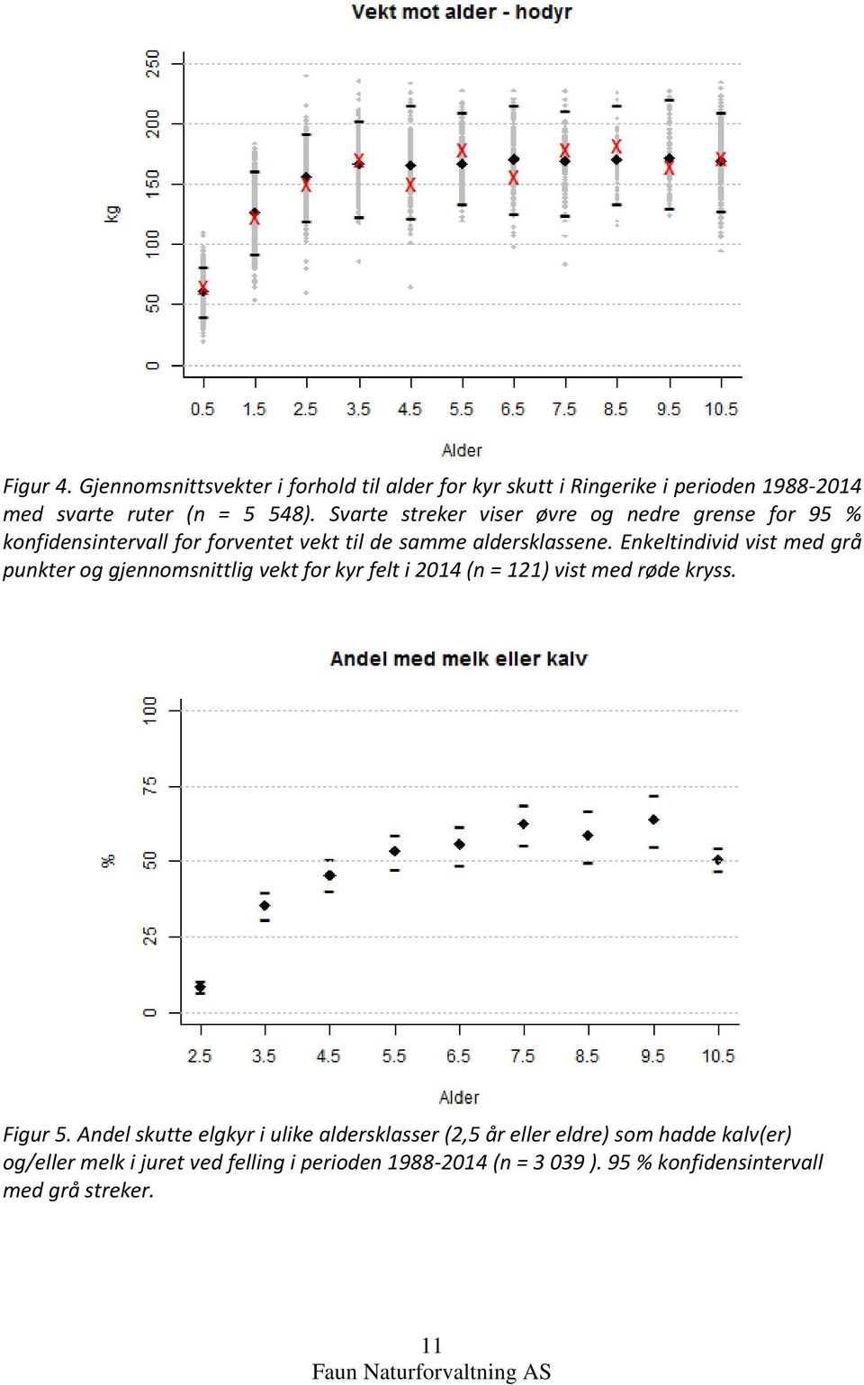 Enkeltindivid vist med grå punkter og gjennomsnittlig vekt for kyr felt i 2014 (n = 121) vist med røde kryss. Figur 5.