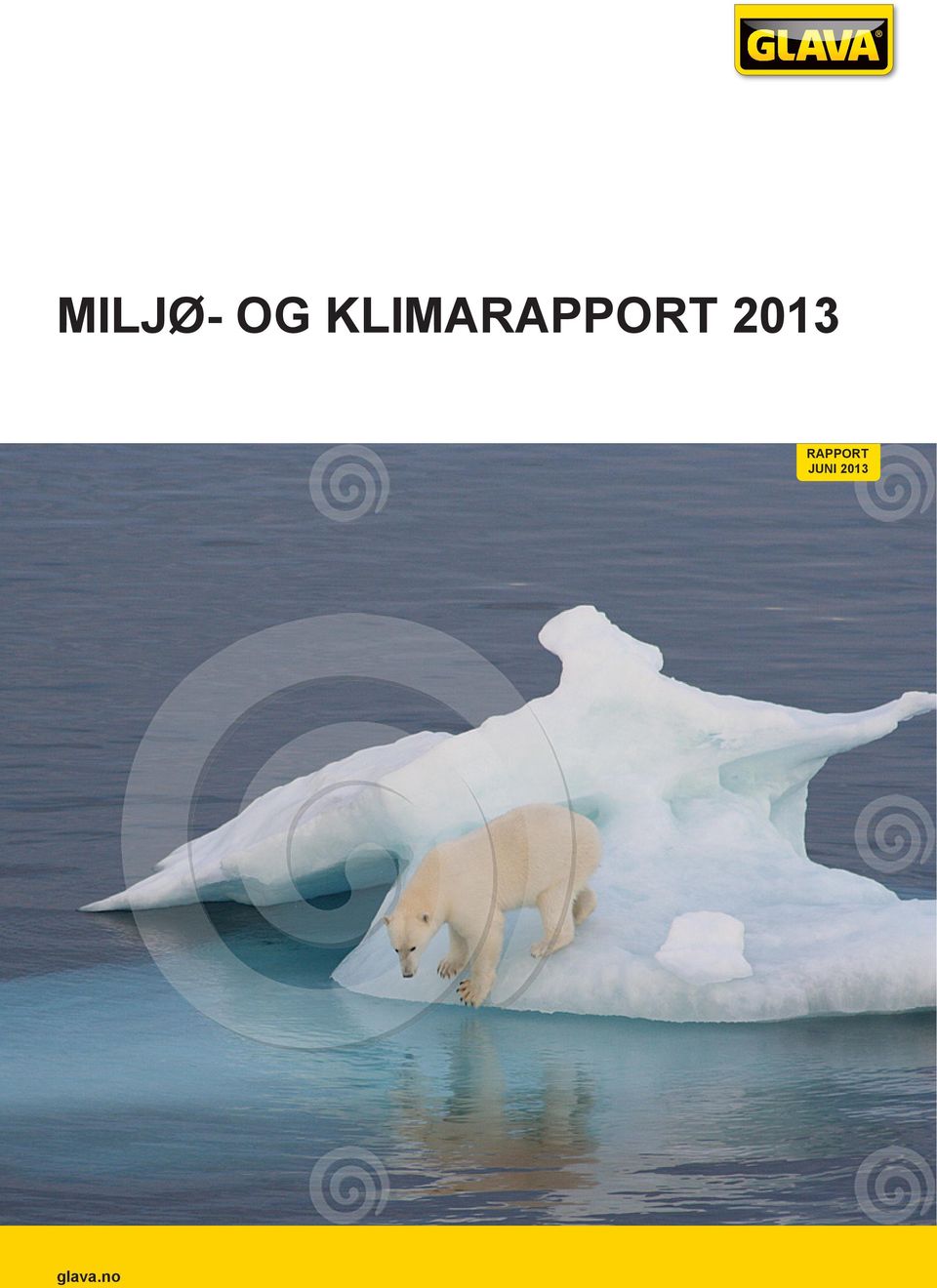 2013 RAPPORT