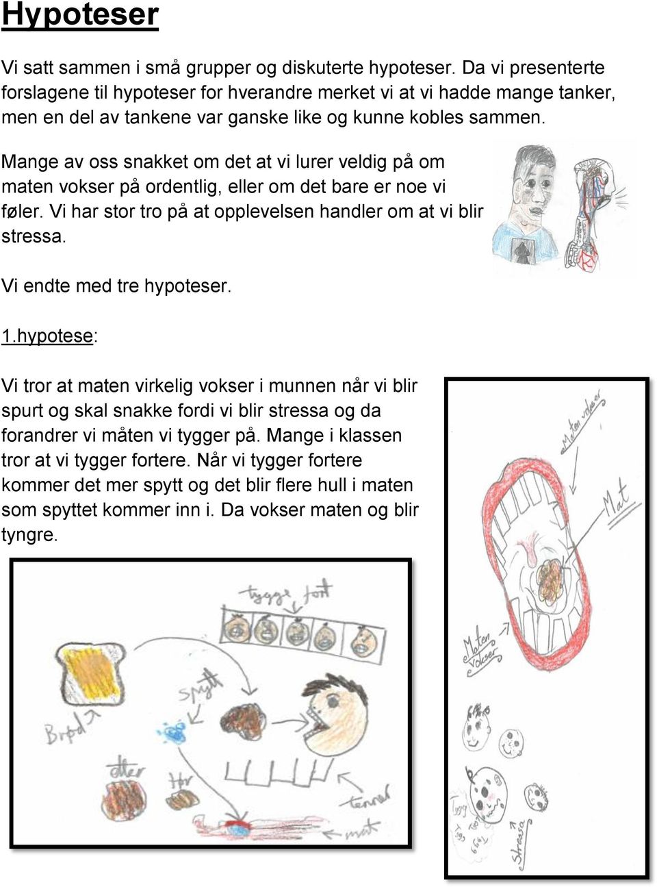 Mange av oss snakket om det at vi lurer veldig på om maten vokser på ordentlig, eller om det bare er noe vi føler. Vi har stor tro på at opplevelsen handler om at vi blir stressa.