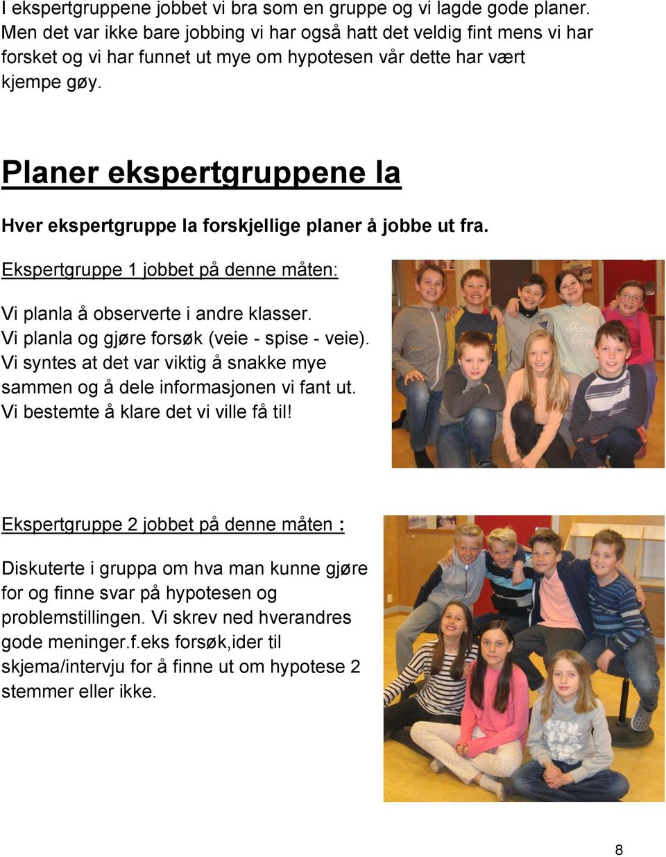 Planer ekspertgruppene la Hver ekspertgruppe la forskjellige planer å jobbe ut fra. Ekspertgruppe 1 jobbet på denne måten: Vi planla å observerte i andre klasser.