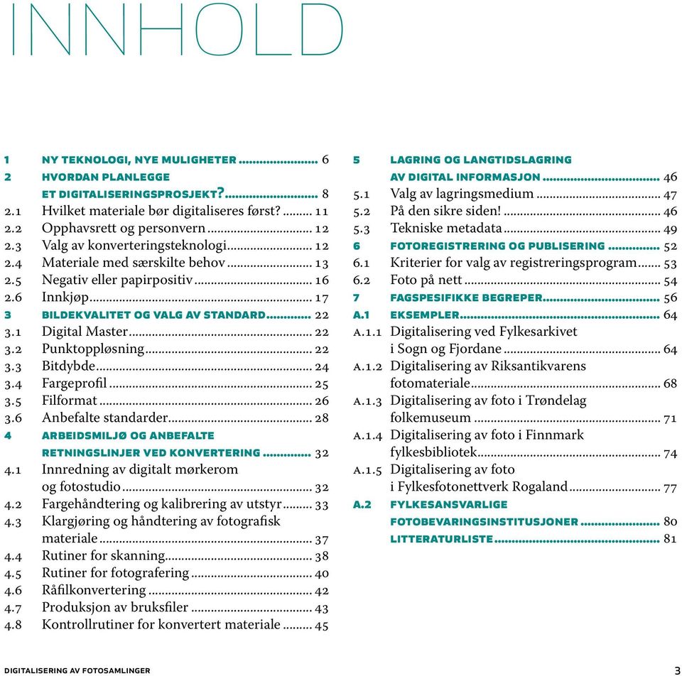 .. 22 3.2 Punktoppløsning... 22 3.3 Bitdybde... 24 3.4 Fargeprofil... 25 3.5 Filformat... 26 3.6 Anbefalte standarder... 28 4 arbeidsmiljø og anbefalte retningslinjer ved konvertering... 32 4.