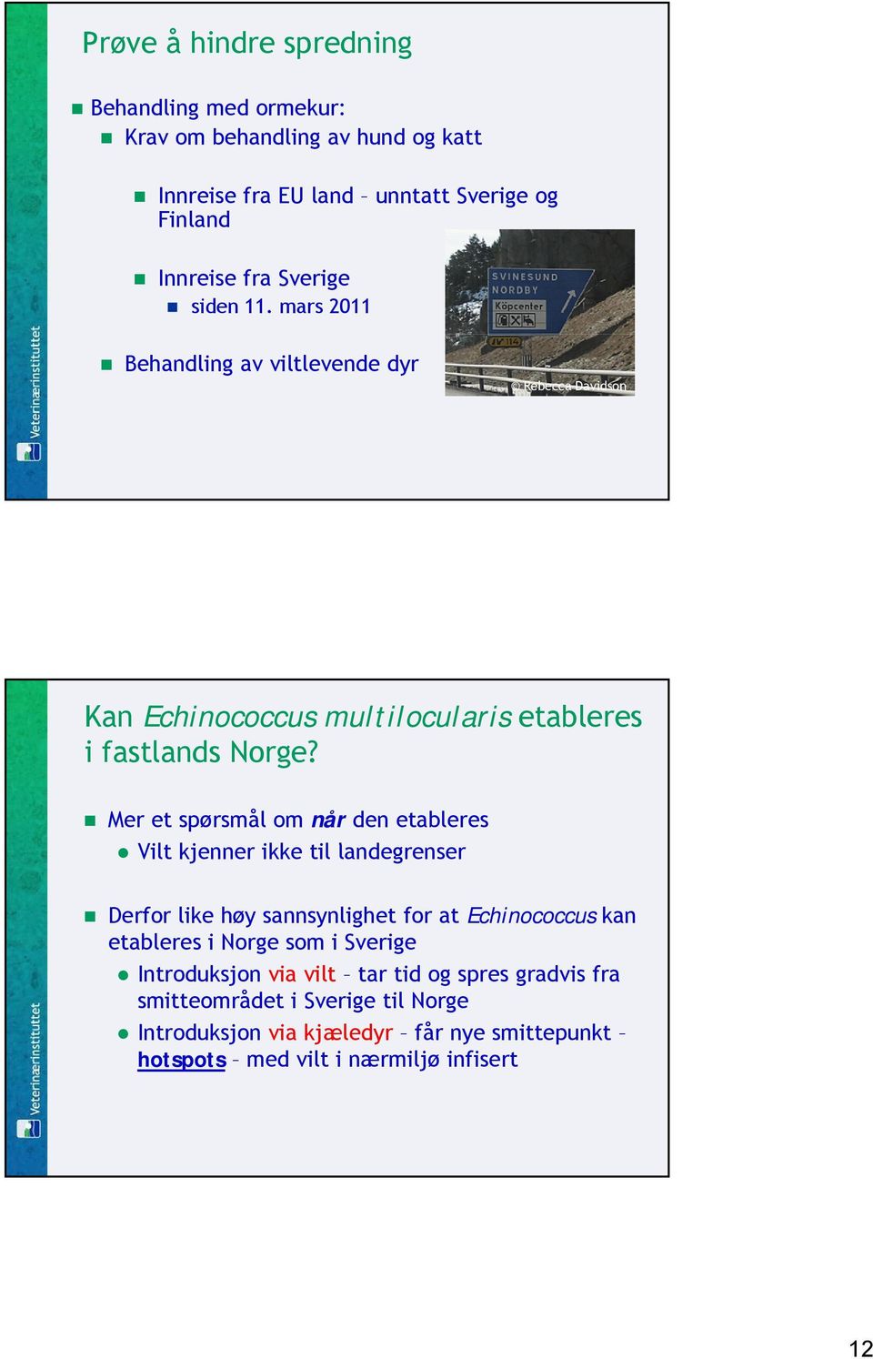 Mer et spørsmål om når den etableres Vilt kjenner ikke til landegrenser Derfor like høy sannsynlighet for at Echinococcus kan etableres i Norge som i