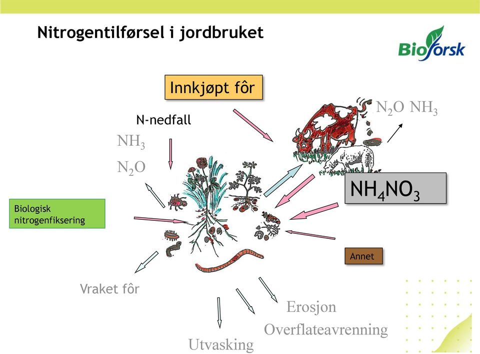 Biologisk nitrogenfiksering NH NO 3 Annet