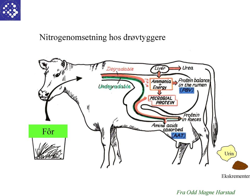 Nitrogenomsetning