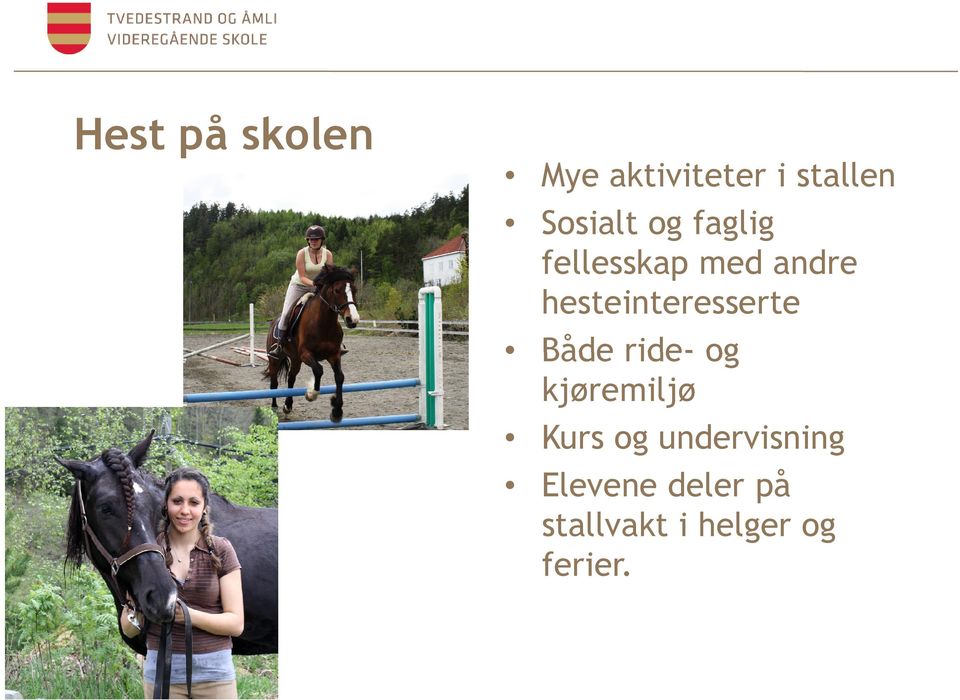 hesteinteresserte Både ride- og kjøremiljø Kurs