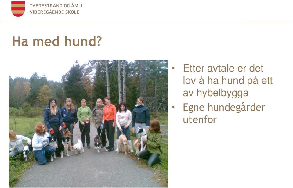 ha hund på ett av