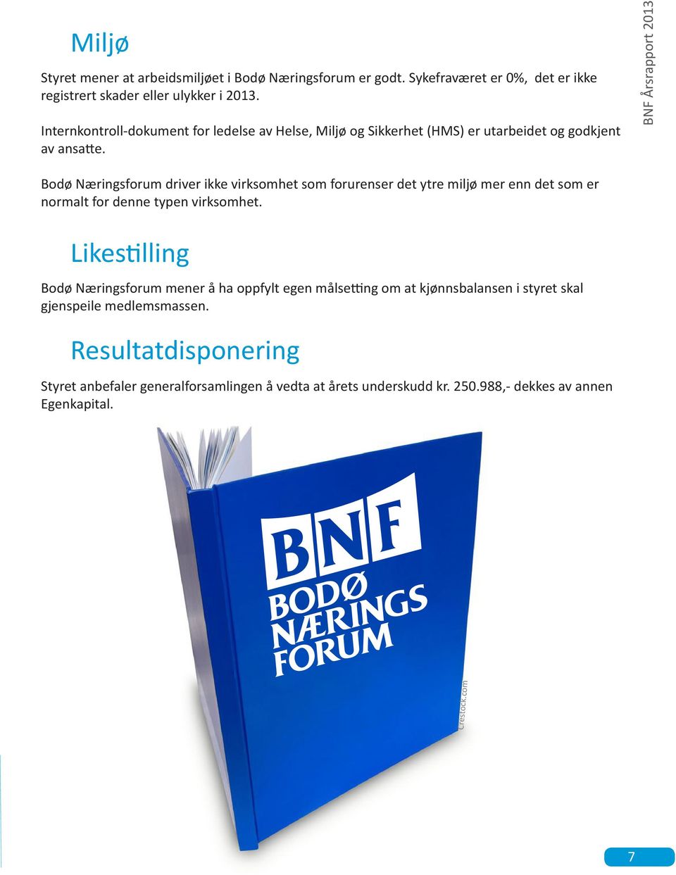 BNF Årsrapport 2013 Bodø Næringsforum driver ikke virksomhet som forurenser det ytre miljø mer enn det som er normalt for denne typen virksomhet.