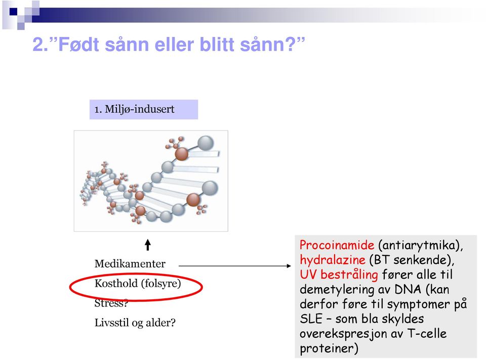 Procoinamide (antiarytmika), hydralazine (BT senkende), UV bestråling fører