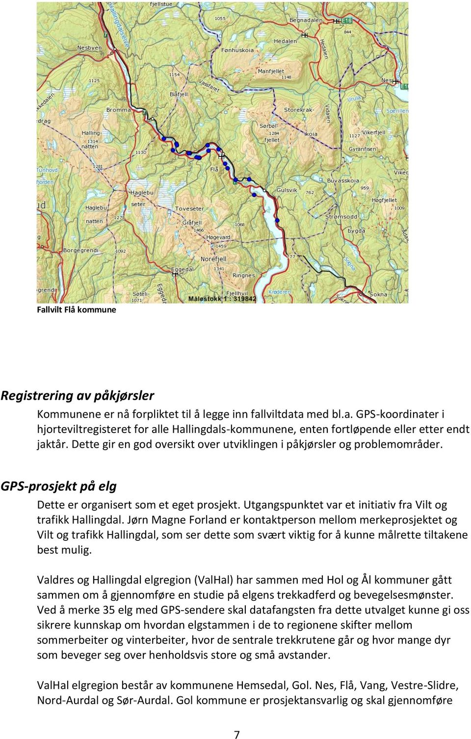 Jørn Magne Forland er kontaktperson mellom merkeprosjektet og Vilt og trafikk Hallingdal, som ser dette som svært viktig for å kunne målrette tiltakene best mulig.