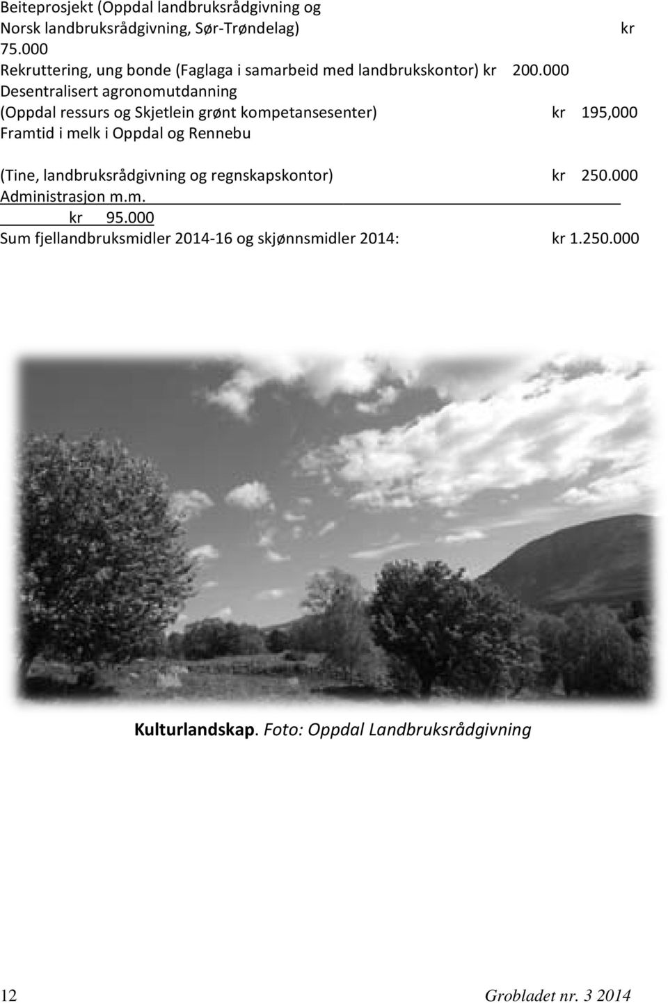 000 Desentralisert agronomutdanning (Oppdal ressurs og Skjetlein grønt kompetansesenter) kr 195,000 Framtid i melk i Oppdal og