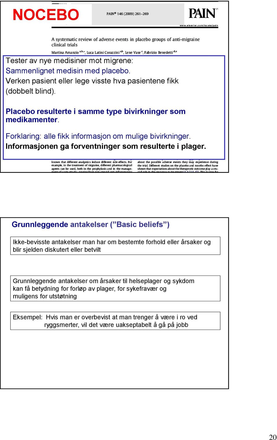 Grunnleggende antakelser ( Basic beliefs ) Ikke-bevisste antakelser man har om bestemte forhold eller årsaker og blir sjelden diskutert eller betvilt Grunnleggende antakelser om