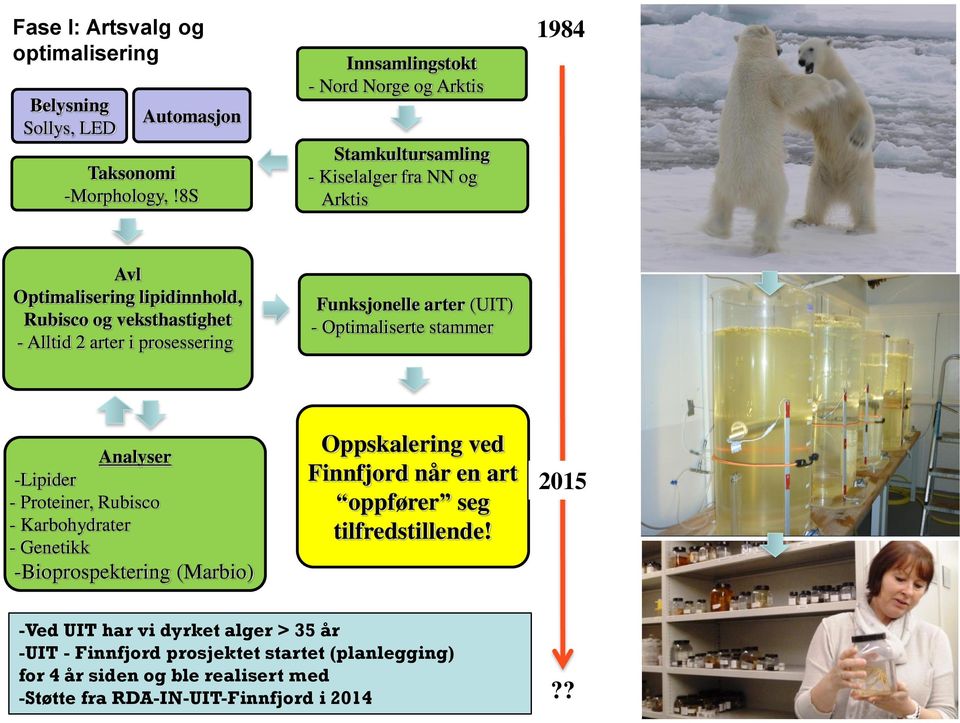 arter i prosessering Funksjonelle arter (UIT) - Optimaliserte stammer Analyser -Lipider - Proteiner, Rubisco - Karbohydrater - Genetikk -Bioprospektering (Marbio)