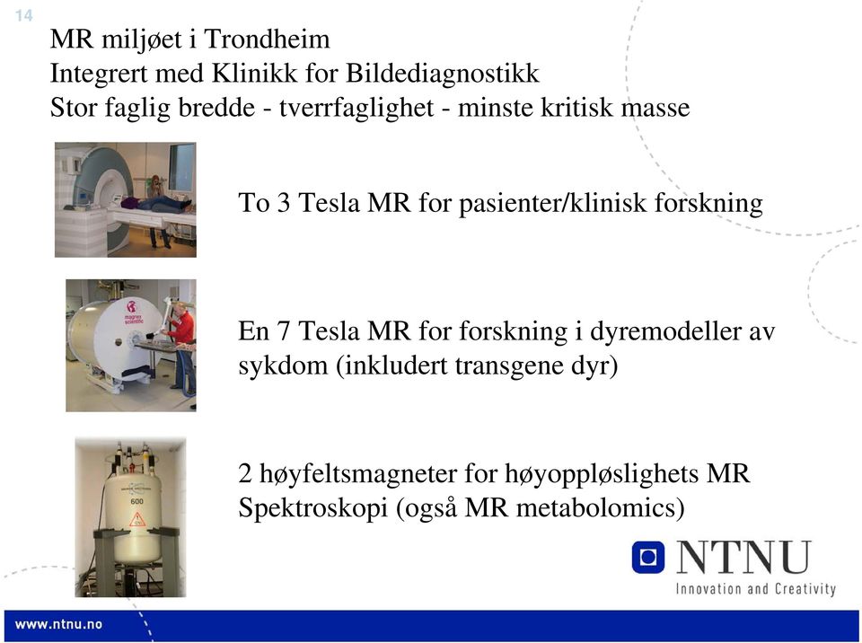 forskning En 7 Tesla MR for forskning i dyremodeller av sykdom (inkludert