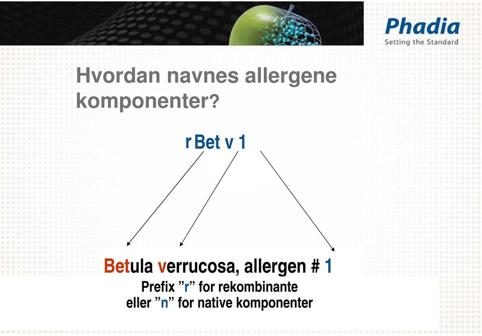 r Bet v 1 Betula verrucosa,