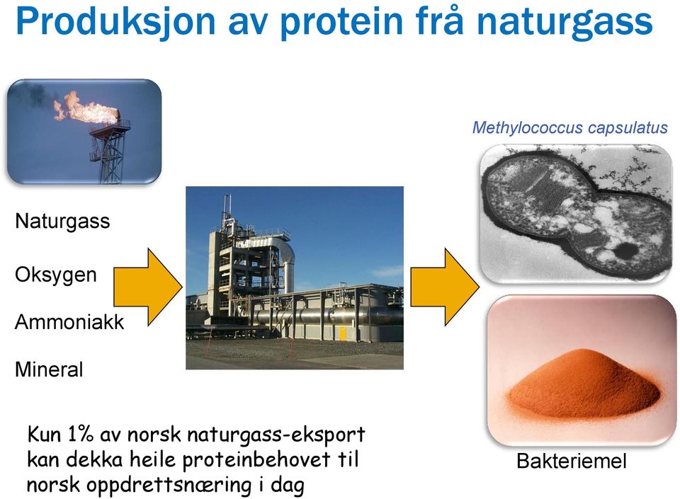 1% av norsk naturgass-eksport kan dekka heile