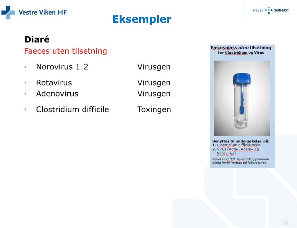 Rotavirus Virusgen Adenovirus