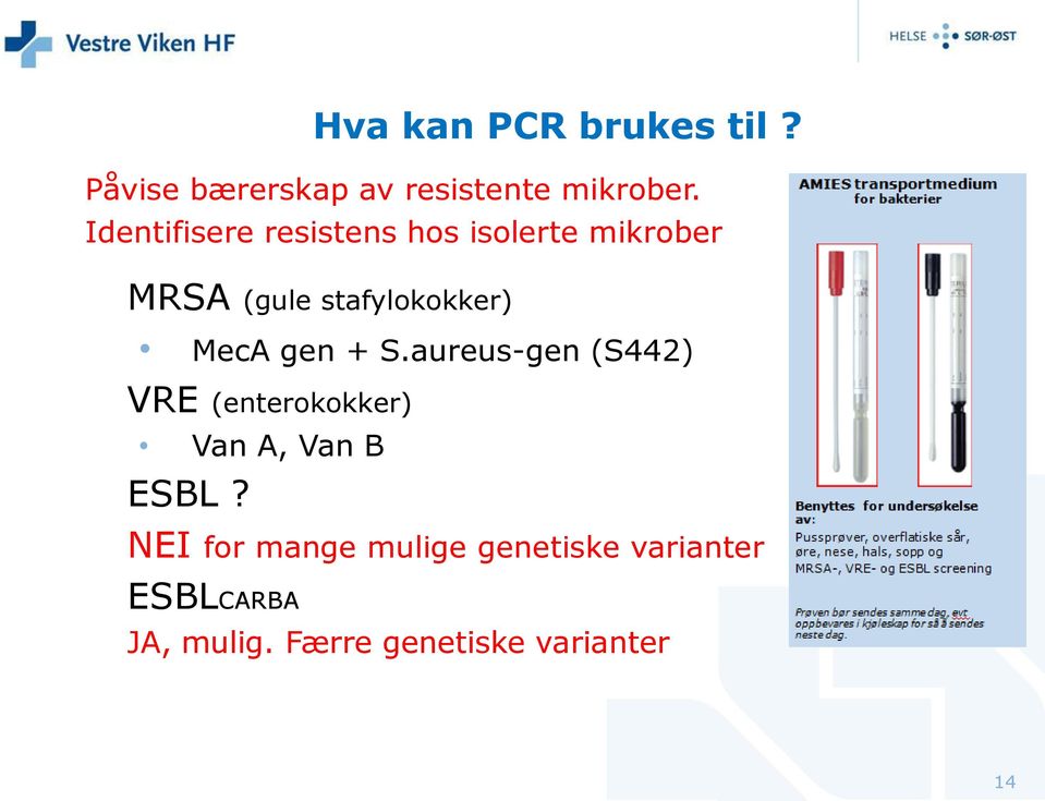 MecA gen + S.aureus-gen (S442) VRE (enterokokker) Van A, Van B ESBL?