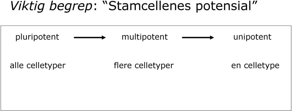 multipotent unipotent alle