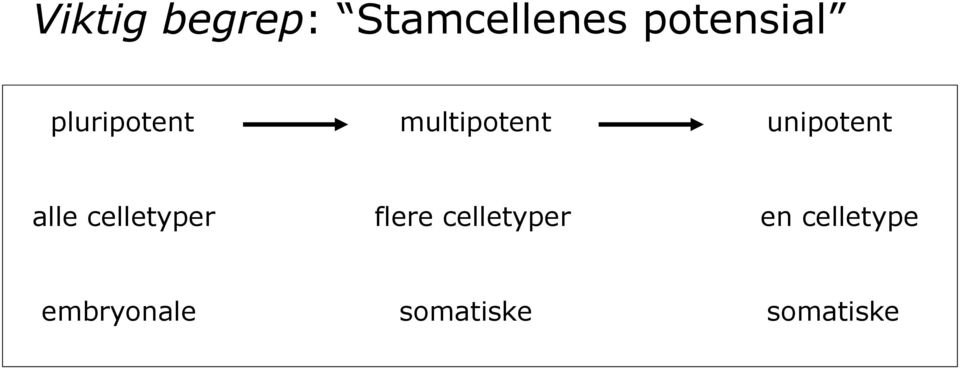 unipotent alle celletyper flere