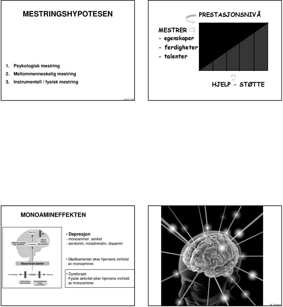 1958 MONOAMINEFFEKTEN Depresjon - monoaminer senket - serotonin, noradrenalin, dopamin Medikamenter