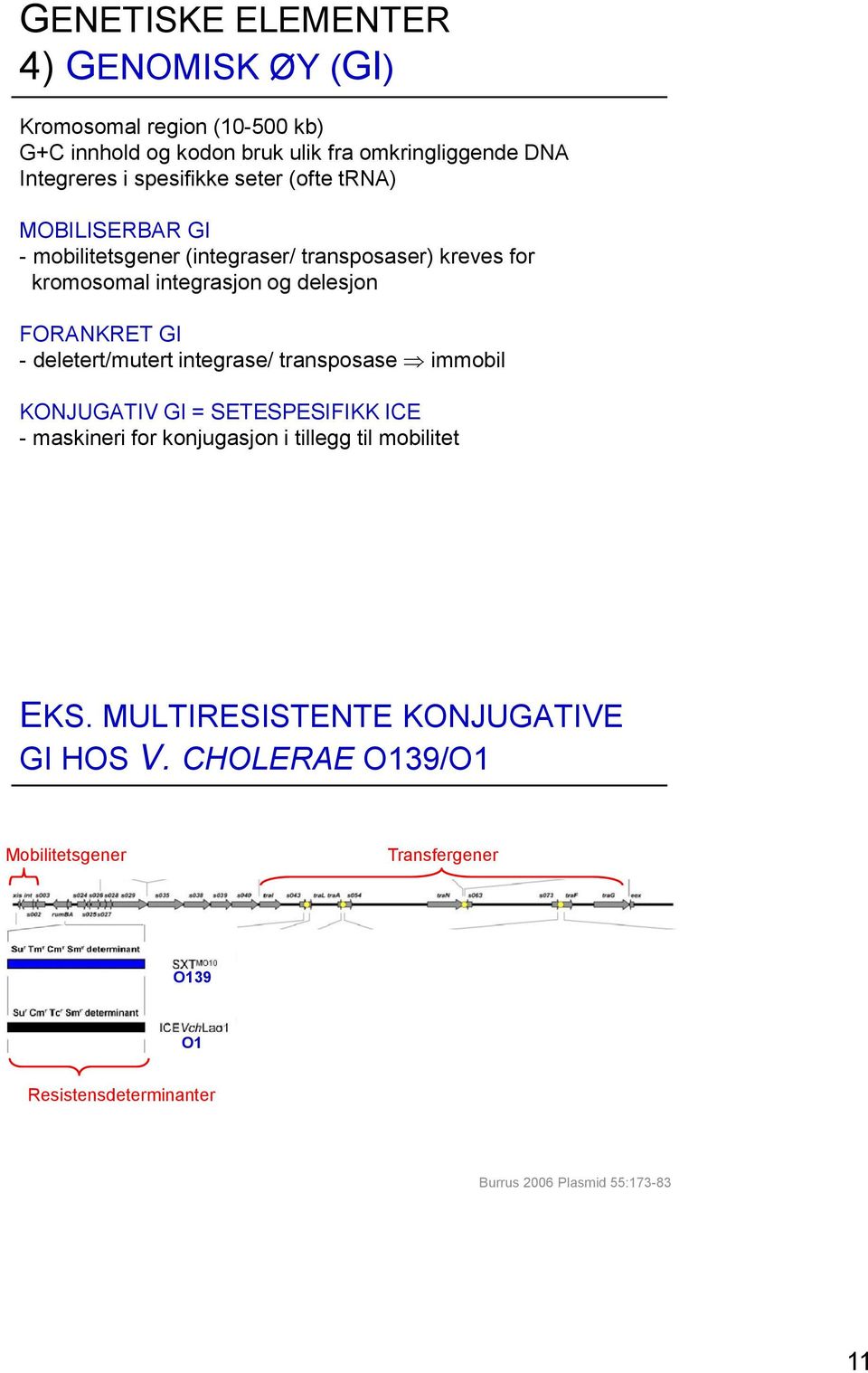 FORANKRET GI - deletert/mutert integrase/ transposase immobil KONJUGATIV GI = SETESPESIFIKK ICE - maskineri for konjugasjon i tillegg til