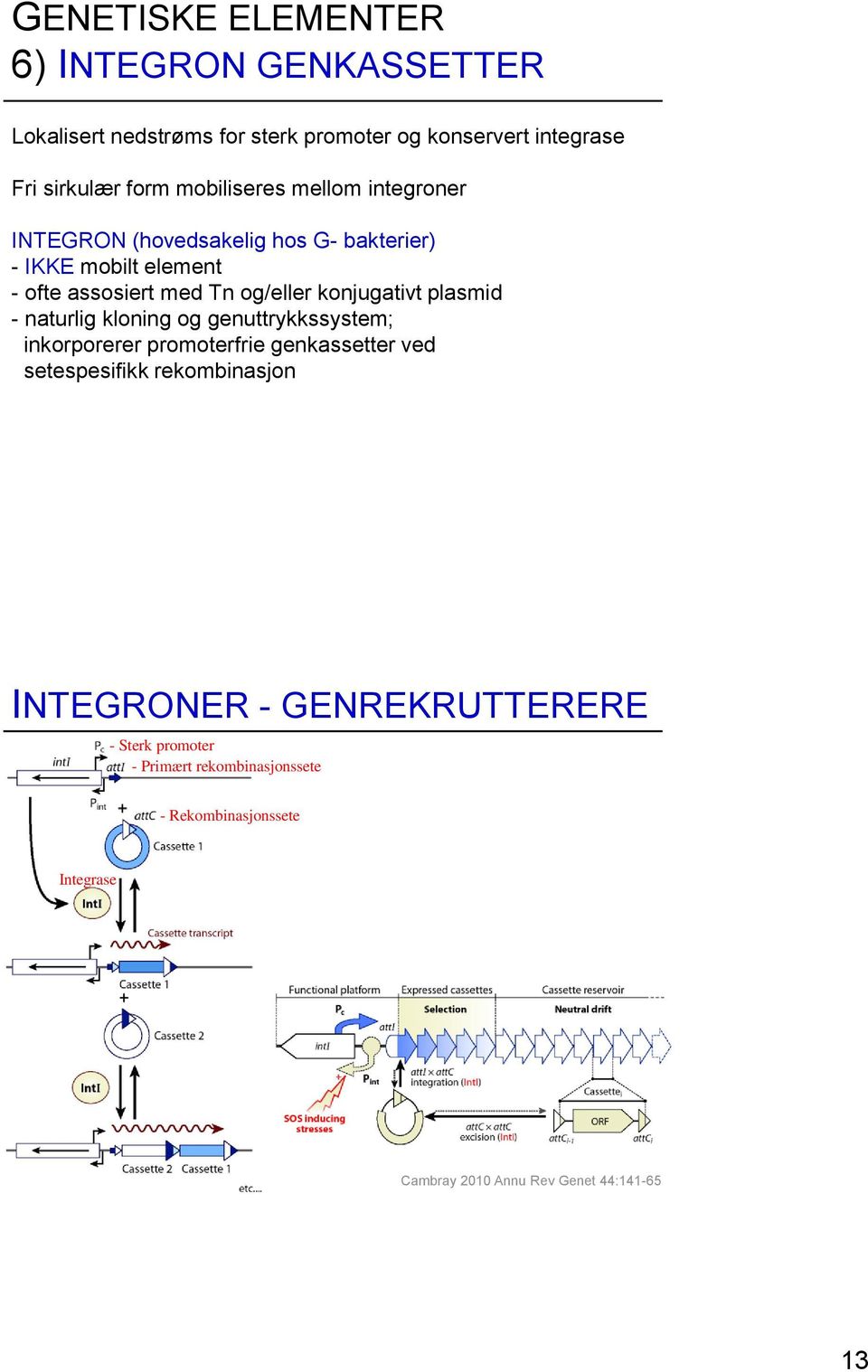 konjugativt plasmid - naturlig kloning og genuttrykkssystem; inkorporerer promoterfrie genkassetter ved setespesifikk rekombinasjon