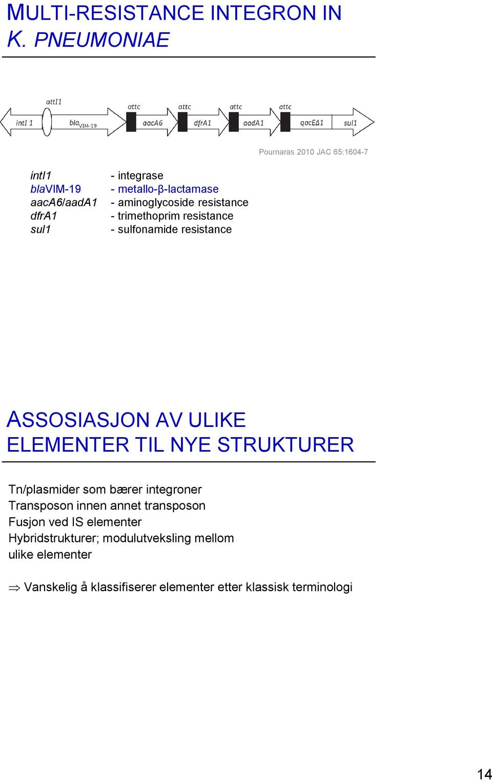 aminoglycoside resistance - trimethoprim resistance - sulfonamide resistance ASSOSIASJON AV ULIKE ELEMENTER TIL NYE