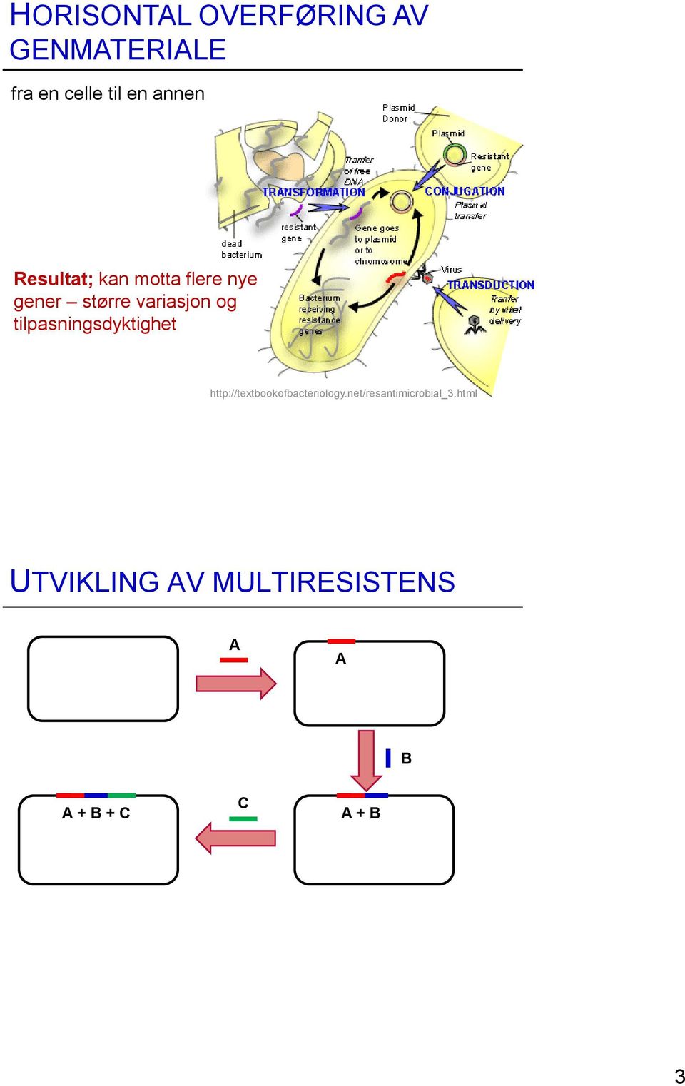 tilpasningsdyktighet http://textbookofbacteriology.