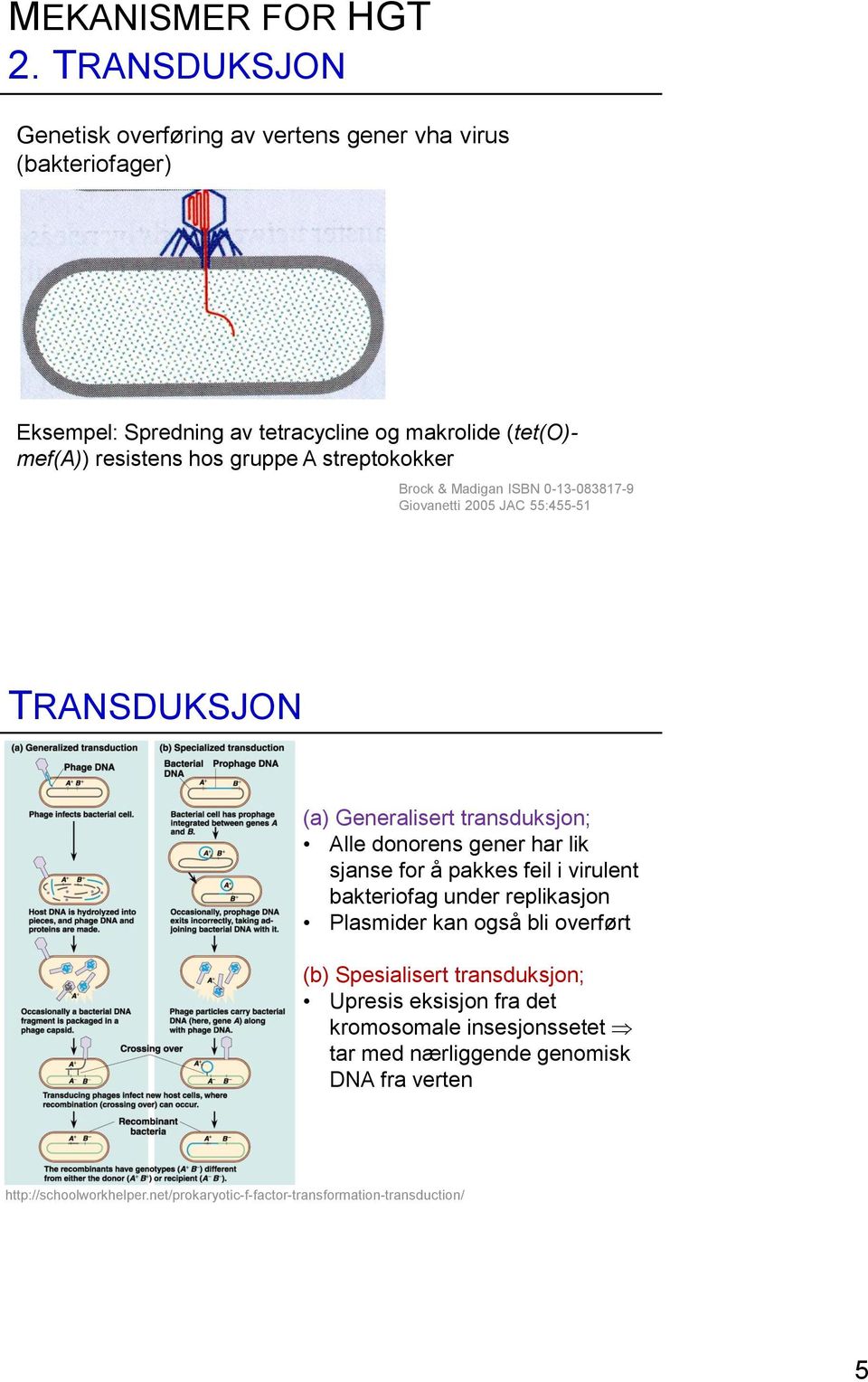 gruppe A streptokokker Brock & Madigan ISBN 0-13-083817-9 Giovanetti 2005 JAC 55:455-51 TRANSDUKSJON (a) Generalisert transduksjon; Alle donorens gener har lik