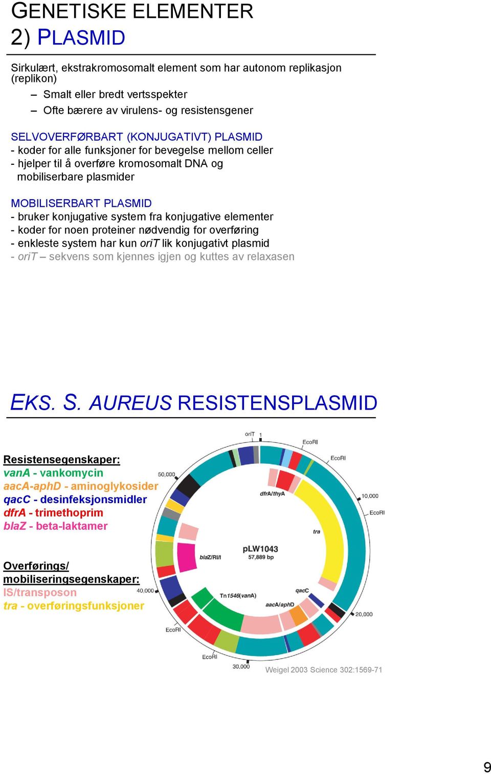 konjugative elementer - koder for noen proteiner nødvendig for overføring - enkleste system har kun orit lik konjugativt plasmid - orit sekvens som kjennes igjen og kuttes av relaxasen EKS. S.