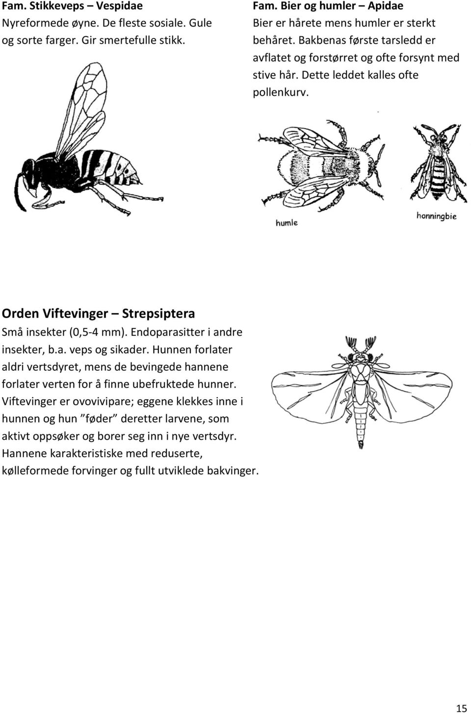 Endoparasitter i andre insekter, b.a. veps og sikader. Hunnen forlater aldri vertsdyret, mens de bevingede hannene forlater verten for å finne ubefruktede hunner.