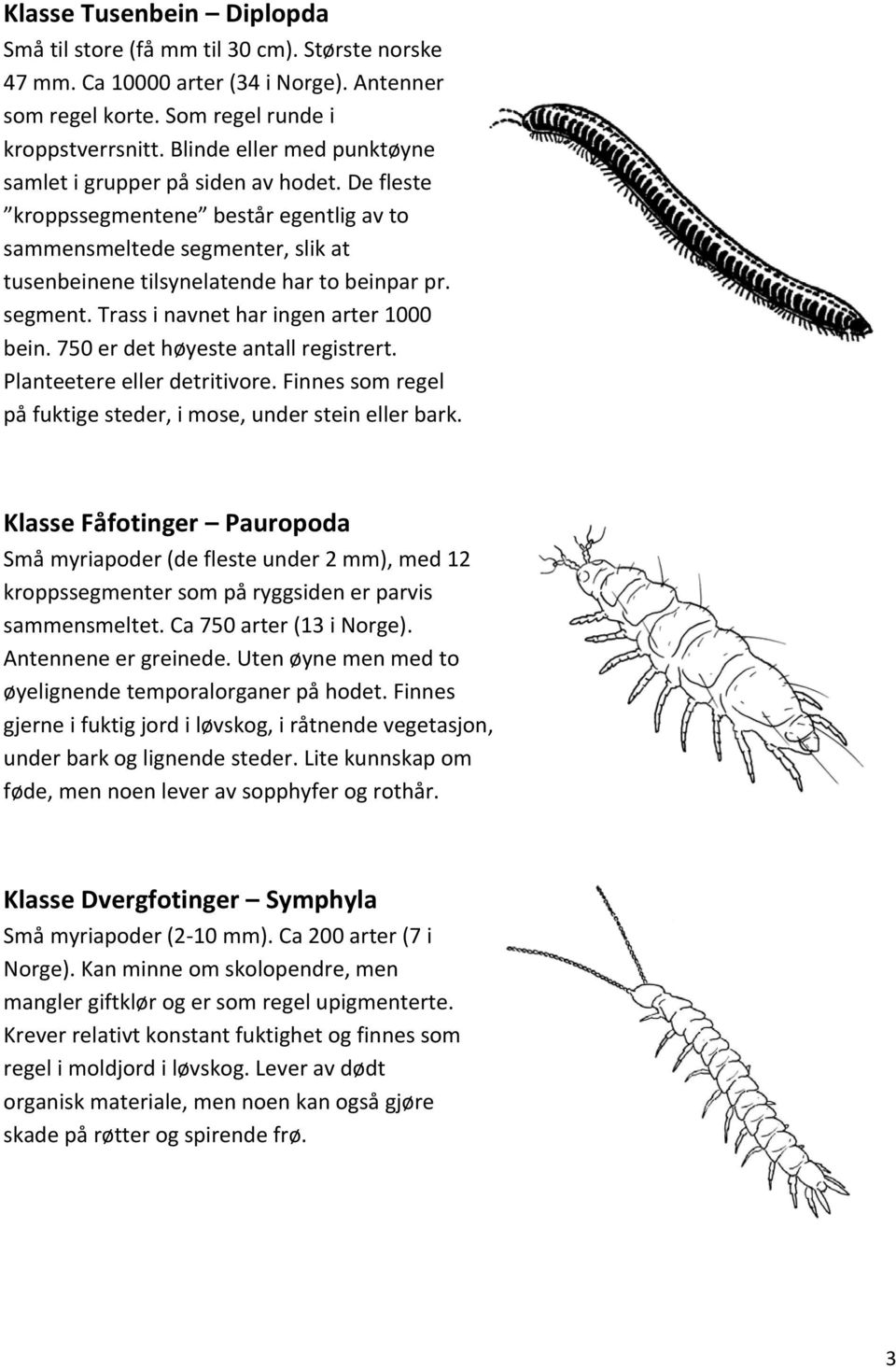 segment. Trass i navnet har ingen arter 1000 bein. 750 er det høyeste antall registrert. Planteetere eller detritivore. Finnes som regel på fuktige steder, i mose, under stein eller bark.