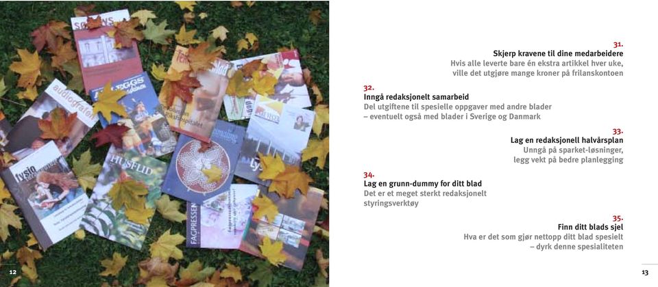 Inngå redaksjonelt samarbeid Del utgiftene til spesielle oppgaver med andre blader eventuelt også med blader i Sverige og Danmark 33.