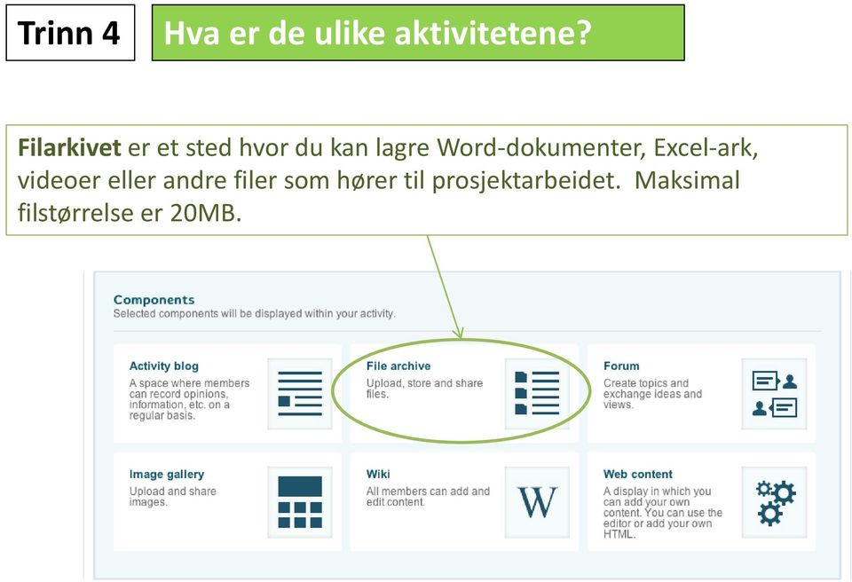 Word-dokumenter, Excel-ark, videoer eller andre