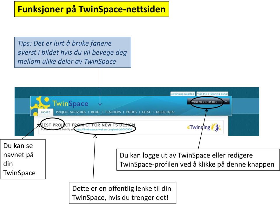 TwinSpace Du kan logge ut av TwinSpace eller redigere TwinSpace-profilen ved å